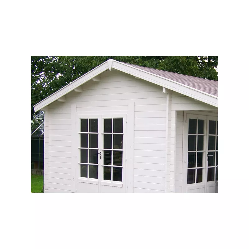 maison de jardin bois brut 24m2